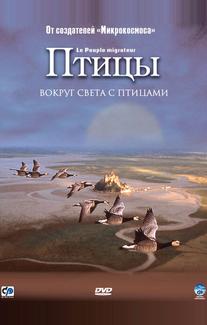 Птицы