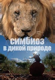Симбиоз в дикой природе